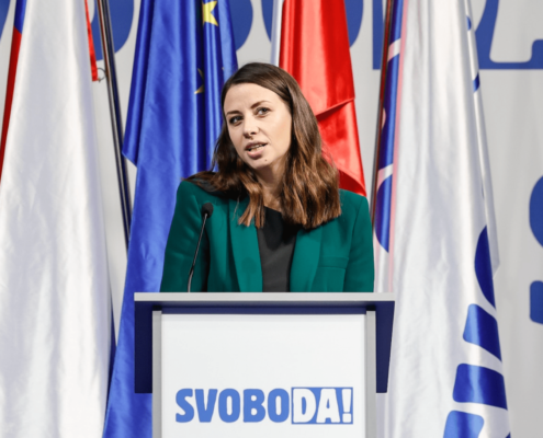 Kongres Gibanja Svoboda (foto: Nebojša Tejić, STA)
